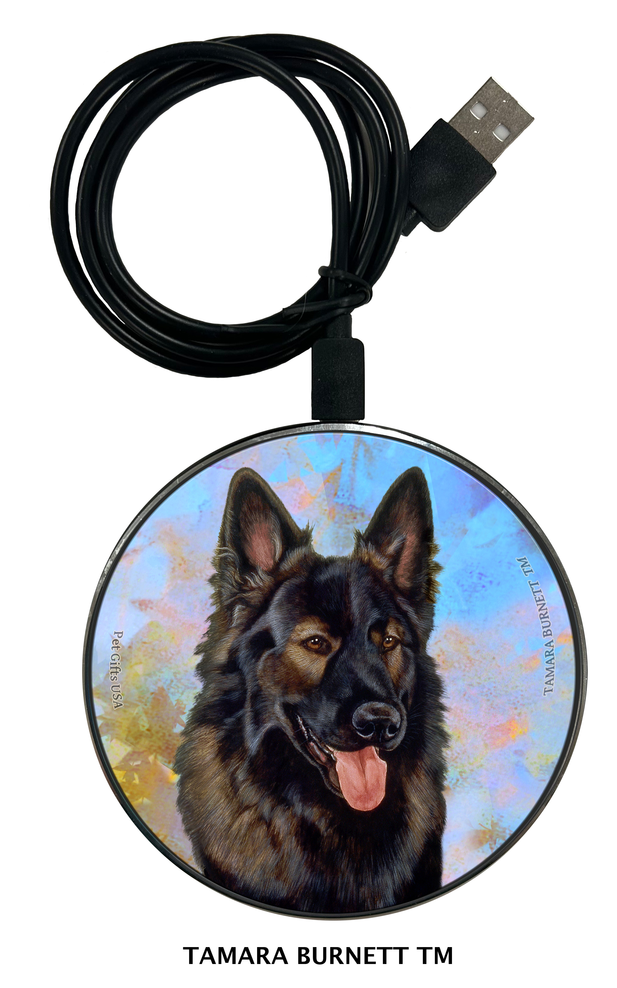 Zoomies Chargers sample image